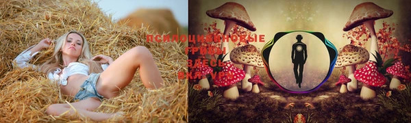 спайс Магадан